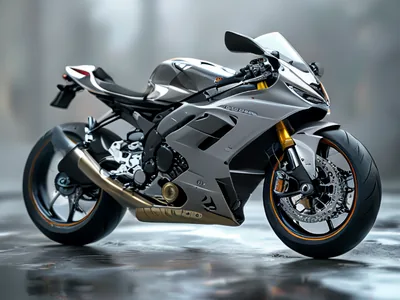 Quali sono le prestazioni della BMW S 1000 RR?