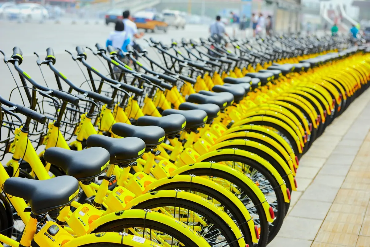 shared bike, vélib, asia, china, bicycles, bike rental, street, bike sharing, bike, rental, urban, city, shared bike, shared bike, bike rental, bike rental, bik