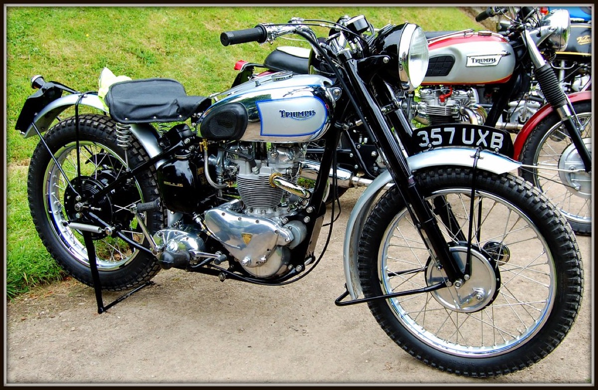 Detailed view of professional motorcycle suspension and gold front forks.